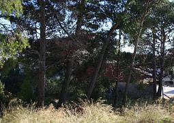 Apartmán 2884