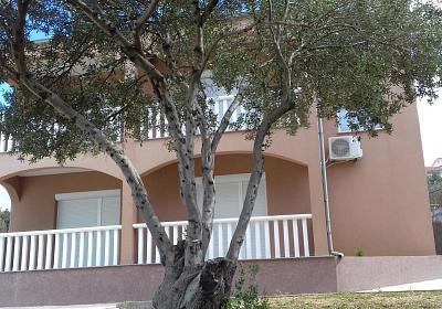 Apartmán 13859