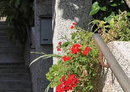 Apartmán 9315
