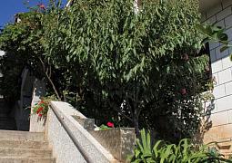 Apartmán 9315