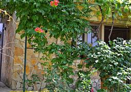 Apartmán 15709