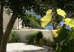 Apartmán 1004