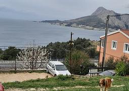 Apartmán 23229