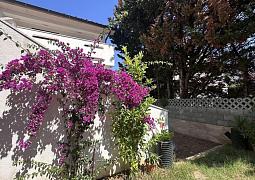 Apartmán 23367