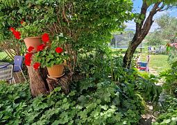 Apartmány 3298-5961