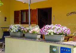 Apartmán 7952