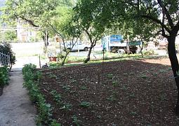 Apartmán 6103