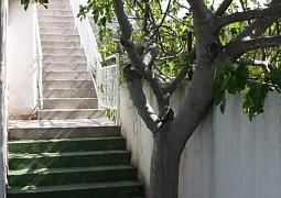 Apartmán 6103