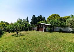 Apartmán 23561