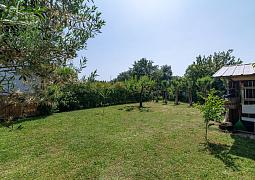 Apartmán 23561