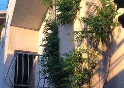 Apartmán 22573