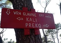 Dům 23713