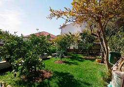 Apartmán 23947
