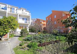 Apartmán 23954
