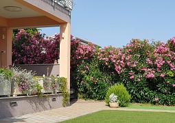 Apartmán 23680