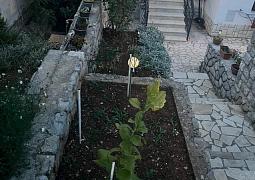 Apartmán 23165