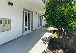 Apartmán 23948