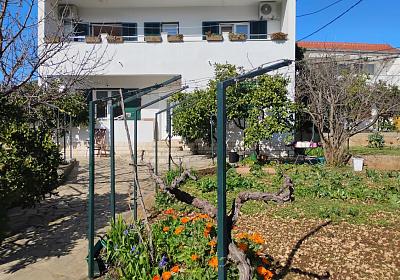 Apartmán 23986