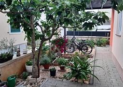 Apartmán 24003