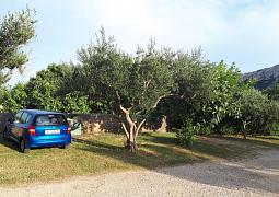 Apartmán 24141