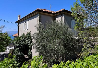 Apartmán 24185