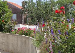 Apartmán 3451