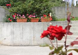 Apartmán 3451