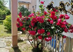 Apartmány 3298-7176