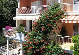 Apartmán 2593