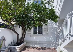 Apartmán 14825