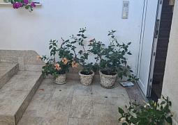 Apartmán 24266