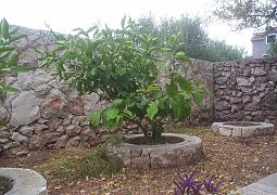 Apartmán 24361