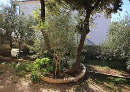 Apartmán 9354