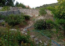 Apartmán 24371