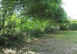 Apartmán 21512