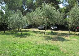 Apartmán 21512