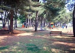 Apartmány 3298N-7752