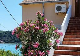 Apartmán 24630