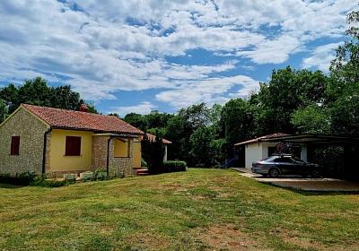 Robinzonáda 1355-7239