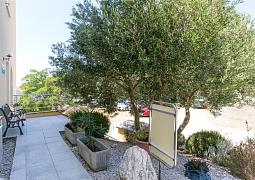 Apartmán 24643