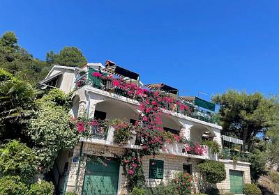 Apartmán 13214