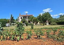 Apartmán 24819