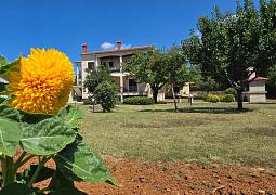 Apartmán 24819