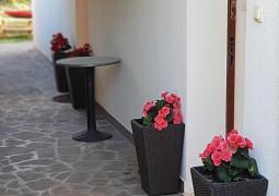 Apartmán 24675