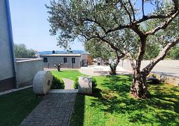 Apartmán 24713