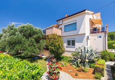 Apartmán 24859