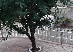 Apartmán 24890
