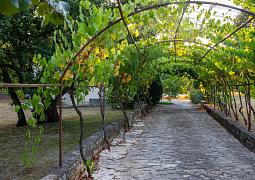Apartmán 24888