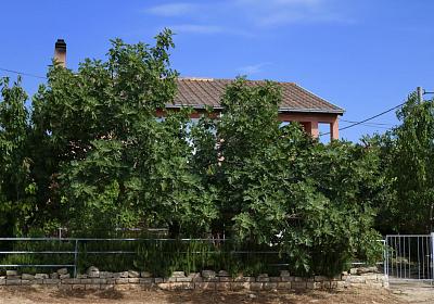 Apartmán 11806