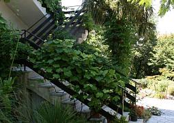 Apartmán 5533